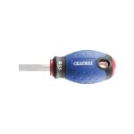 Tournevis fente 5, 5x25 expert e165400