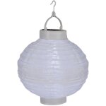 Star trading lampion solaire festival, blanc, led, capteur crépusculaire, solaire, blanc froid Star trading lampion solaire festival, blanc, led, capteur crépusculaire, solaire, blanc froid