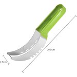 Trancheuse � past�que, coupe - past�que, trancheuse � past�que en acier inoxydable, coupe - past�que ...