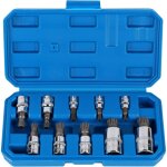Treetalk - douille torx male 1 / 2'', 1 / 4'', 3 / 8'', embout torx 12 pans m4 m5 m6 m8 m10 m12 m14 m16 ...