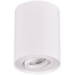 Trio - spot cylindre biscuit ajustable gu10 blanc lighting