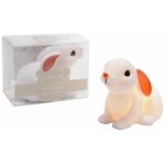 Veilleuse lapinou - amadeus Veilleuse lapinou - amadeus