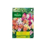 Vilmorin graines de nain antirien moyen vari s - 1, 0, 6 gr
