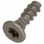 Visse tsp torx 10 3x10 (996530007951) cafeti�re, expresso saeco, philips, gaggia