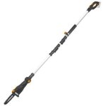 Worx elagueuse sur perche sur batterie wg349. 9, worx, 20 v guide de 20 cm Worx elagueuse sur perche sur batterie wg349. 9, worx, 20 v guide de 20 cm