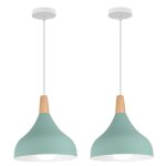 Lustre suspension moderne e27 �clairage int�rieur lampe suspension cr�ative simple vert �20cm pour chambre ...