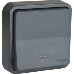 Bouton poussoir lumineux encastré mureva styl schneider gris Bouton poussoir lumineux encastré mureva styl schneider gris