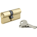 Cylindre double sa laiton poli 3 clés thirard 30 x 40mm Cylindre double sa laiton poli 3 clés thirard 30 x 40mm