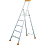 Escabeau mp - pro tubesca 5 march. accs 3, 10m * exclu mag *