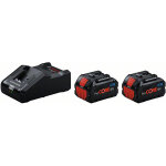 Kit chargeur + 2 batteries bosch 1600a02t5p 18v - 8ah
