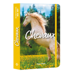 Agenda scolaire chevaux 2026 - 2027 (broch�)