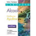 Alcools (spcial bac) (broch)