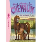 Mes amis les chevaux 05 - une randonne mouvemente (poche)