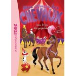 Mes amis les chevaux 09 - sous le feu des projecteurs (poche)