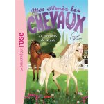 Mes amis les chevaux 10 - le concours de beauté (poche) Mes amis les chevaux 10 - le concours de beauté (poche)
