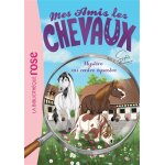 Mes amis les chevaux 12 - mystre au centre questre (poche)