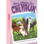 Mes amis les chevaux 18 - la mascotte du centre �questre (poche)