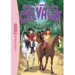 Mes amis les chevaux - tome 24 : que le meilleur gagne ! (poche)
