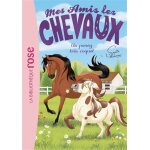 Mes amis les chevaux 26 - un poney très coquet (poche) Mes amis les chevaux 26 - un poney très coquet (poche)