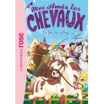 Mes amis les chevaux 36 - la fête du village (poche) Mes amis les chevaux 36 - la fête du village (poche)