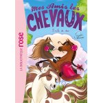 Mes amis les chevaux 38 - drle de duo (poche)