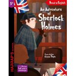 An adventure of sherlock holmes (broch)