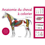 Anatomie du cheval � colorier (spirale)