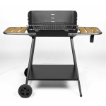 Barbecue fonte promenade charbon de bois