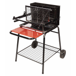 Barbecue raymond charbon de bois cuisson verticale