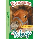 Bienvenue au refuge 03 - poulain  adopter ! (poche)