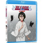 Bleach - partie 2
