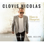 Blues in blueprint (12 variations on the blues)