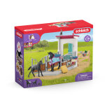 Box avec jument et poulain appaloosa