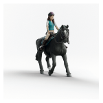 Cavali�re lisa et storm special
