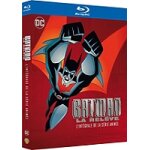 Coffret batman la relève, la série animée, saisons 1 à 3 Coffret batman la relève, la série animée, saisons 1 à 3