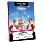 Coffret cadeau wonderbox - disneyland paris - 1 jour / 2 parcs