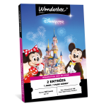 Coffret cadeau wonderbox - disneyland paris - 1 jour / 1 parc