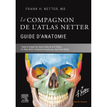 Le compagnon de l'atlas netter - guide d'anatomie (broch�)