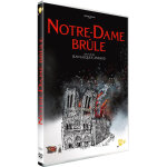 Notre - dame br�le