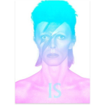 David bowie is (reli�)