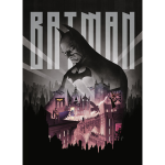 Dc comics : batman (reli�)