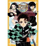 Demon slayer - roman jeunesse tome 1 : tanjiro & nezuko l'origine de leur destin (bd)