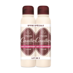 D�odorant absorb + 48h homme spray 150ml x2