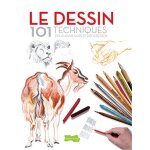 Le dessin 101 techniques - pour apprendre et progresser (broch)