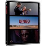 Dingo