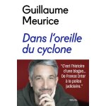 Dans l'oreille du cyclone (broch)