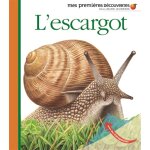L'escargot (jeunesse)