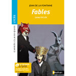 Fables de la fontaine (broch)