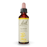 Fleur de bach original gorse 20ml