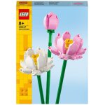Les fleurs de lotus